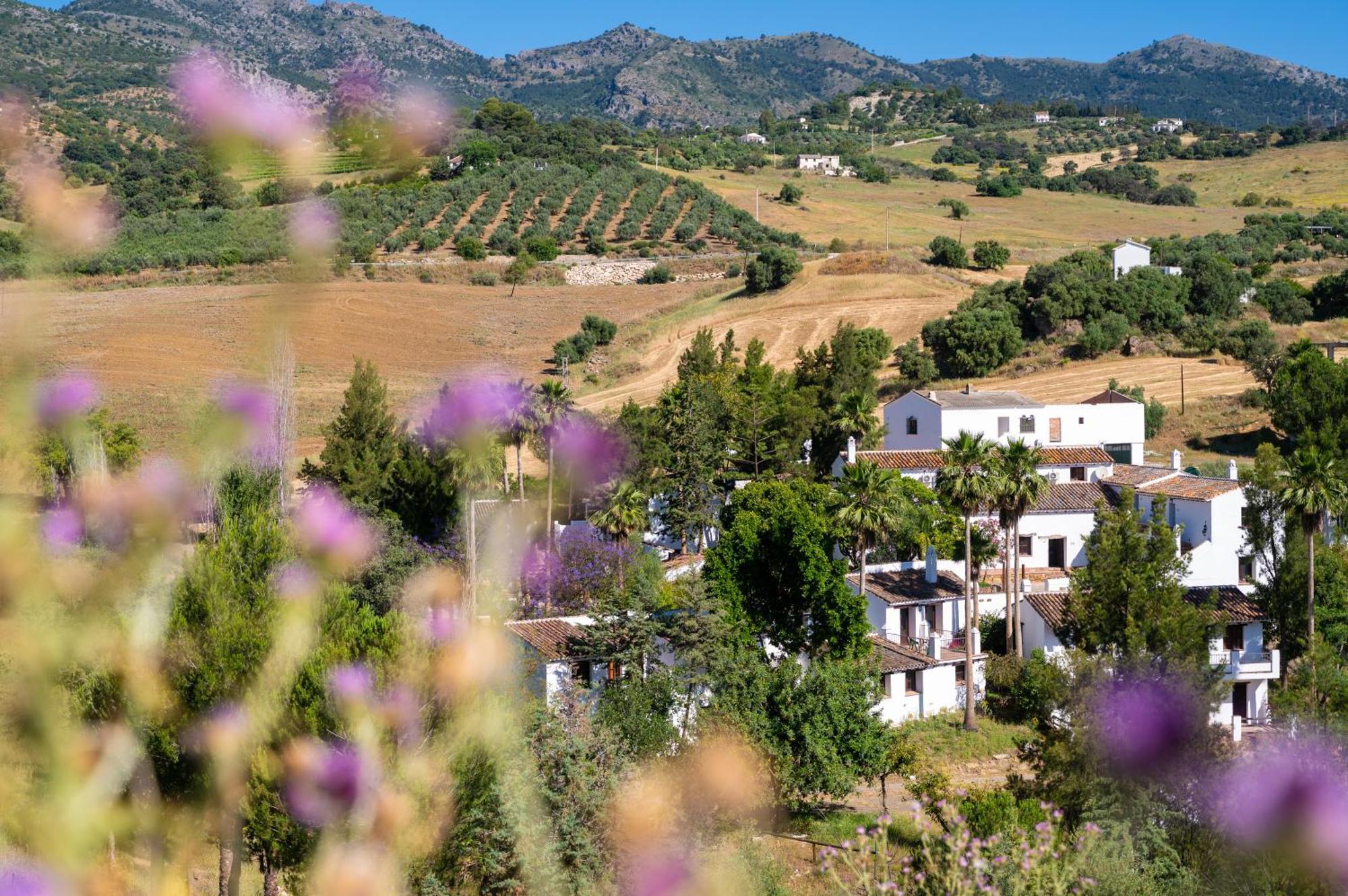 Malaga Sierra De Las Nieves By Real Spain Hotels Adults Recommended Casarabonela Exterior photo